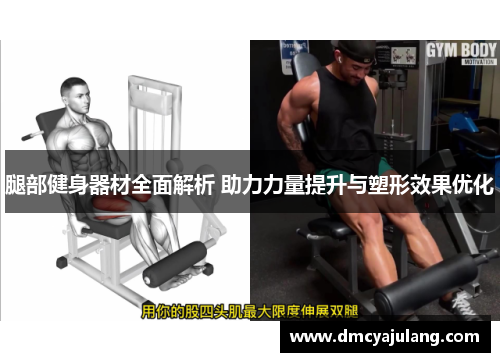 腿部健身器材全面解析 助力力量提升与塑形效果优化