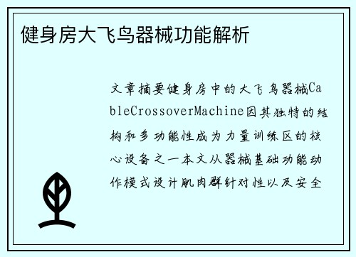 健身房大飞鸟器械功能解析